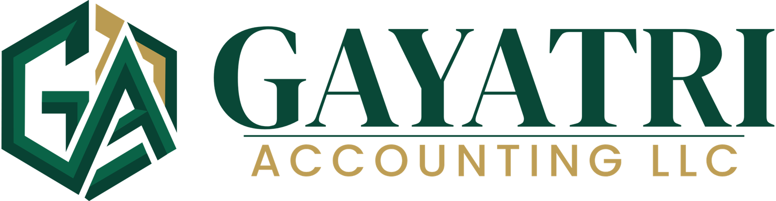 Gayatri Accounting LLC